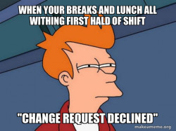 Futurama Fry