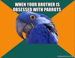 Paranoid Parrot