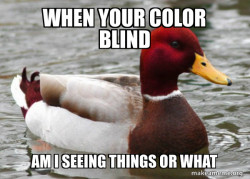 Malicious Advice Mallard