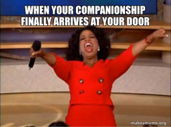 Oprah Winfrey - You Get a Car