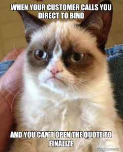 Grumpy Cat