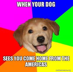 Advice Dog