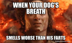 Frodo it's over it's done