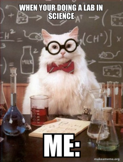 Chemistry Cat