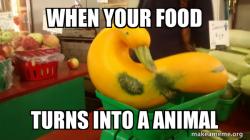 Gourd Advice Mallard