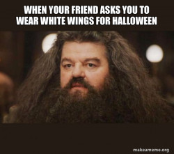 Hagrid - I should not have said that