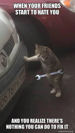 Mechanic Cat