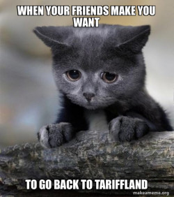 Confession Cat