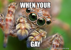 Hipster Spider