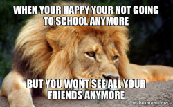 Confession Lion