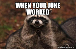 Evil Plotting Raccoon
