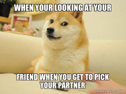 Doge