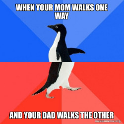 Socially Awkward Awesome Penguin