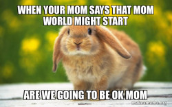 Regretful Rabbit