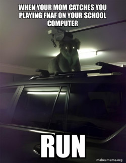 Drop Bear