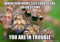 Hipster Spider