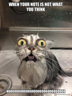 Cat bath
