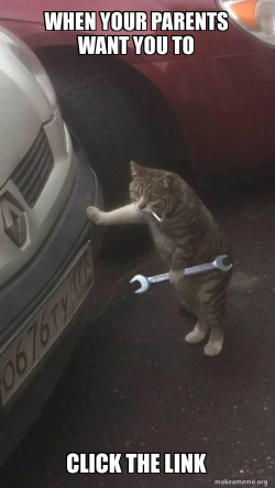 Mechanic Cat