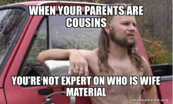 Almost Politically Correct Redneck