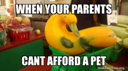 Gourd Advice Mallard