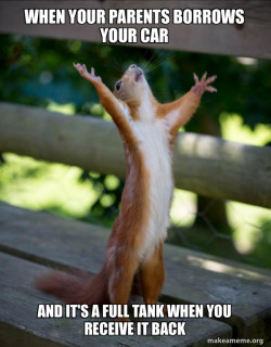 Happy Squirrel