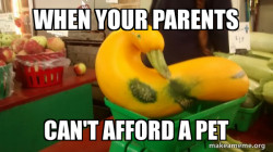 Gourd Advice Mallard