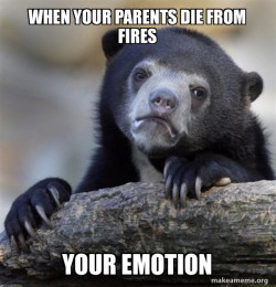Confession Bear