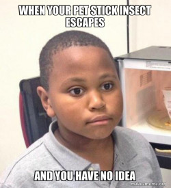 Minor Mistake Marvin
