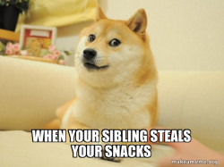 Doge