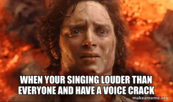 Frodo it's over it's done