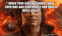 Frodo it's over it's done