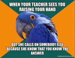 Paranoid Parrot