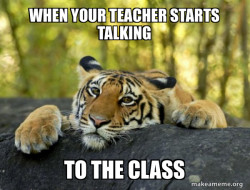 Confession Tiger