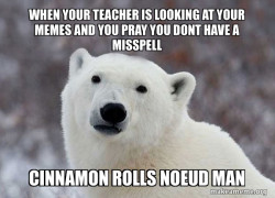 Popular Opinion Polar Bear
