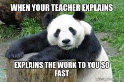 Confession Panda
