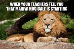 Contemplative Lion