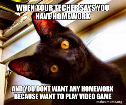 Overly Attached Cat