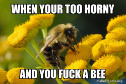 Good Guy Bee