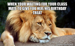 Confession Lion
