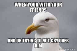 Stuff That Didn't Happen Seagull