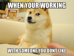 Doge