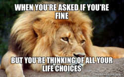 Confession Lion