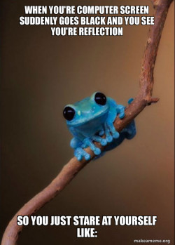 Small Fact Frog
