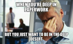 Male First World Problems