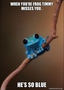 Small Fact Frog