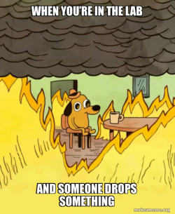 This Is Fine