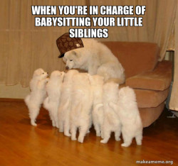 Scumbag Storytelling Dog