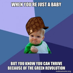 Scumbag Success Kid