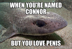 Dirty Joke Dogfish