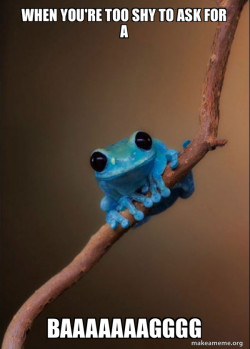 Small Fact Frog